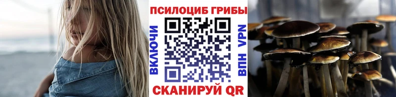 Псилоцибиновые грибы Psilocybine cubensis  Купить закладки  Сельцо 